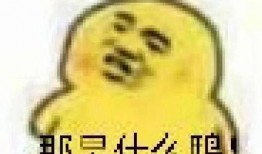 免费吃瓜表情包图片大全,趣味横生的网络狂欢盛宴